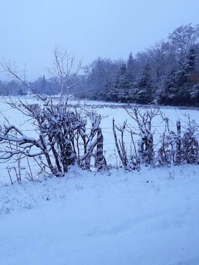 Piscineva, Pisciniste à Veyrac