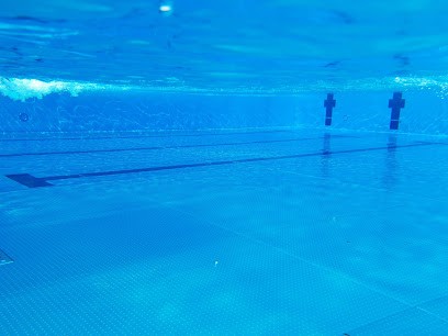 O-PROCESS, Pisciniste à Sérignan