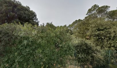 Aqua Service, Pisciniste à Taradeau