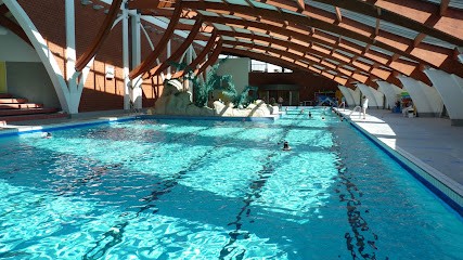 SAREPS - Renovation Piscine Municipale, Piscine Joint Epoxy, Injection Resine, Etancheite Piscine Municipale, Pisciniste à Saint-Denis-de-l'Hôtel