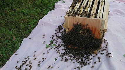 passion construction, Pisciniste à Saucats