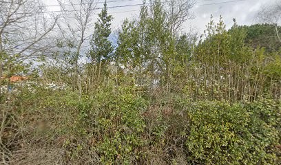 Piscines Moreau, Magasin de Matériel pour Piscines à Fontcouverte