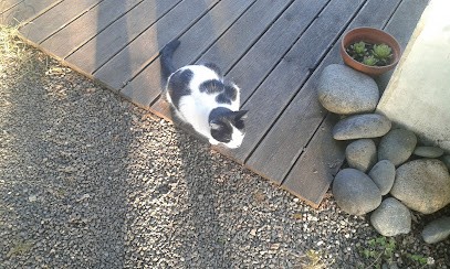 Alpha Plus Piscines SARL, Pisciniste à Trébeurden