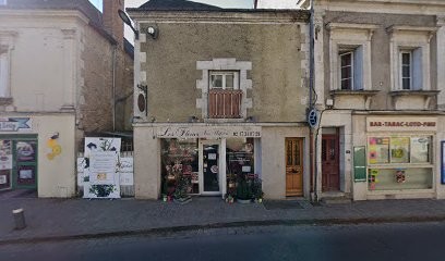 Piscin Garden, Pisciniste à Veigné