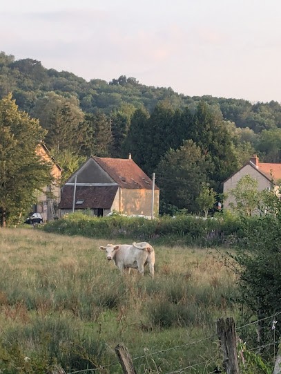 Piscines Et Plus, Pisciniste à Sichamps