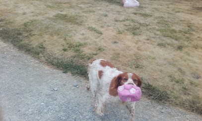 Limousin Spas, Magasin de Matériel pour Piscines à Saint-Maurice-la-Souterraine