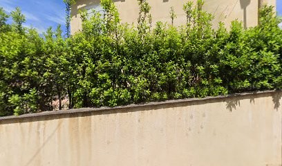 FS Batiment, Pisciniste à Saint-Tropez