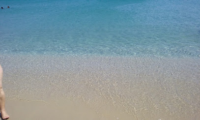 Boats&Pools, Pisciniste à Antibes