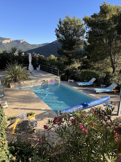 Piscine Polyester Etanchéité, Pisciniste à Vidauban